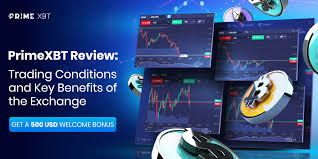 Discover the Potential of Trading with the PrimeXBT APP